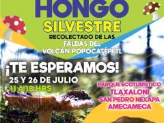 Cartel Temporada de hongo silvestre recolantado de las faldas del volcán Popocatépetl. Créditos: Ayuntamiento de Amecameca (2018-2021).