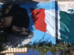 Bandera y militar con cubrebocas, partel del Mural Héroes COVID-19, del grafitero Rider, Hospital Las Américas, Ecatepec. Fotografía: Stephanie Romero Faz.