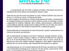 Comunicado oficial del FIG 2020 Festival Internacional del Globo en directo. El primer festival de aerostación en tu casa.