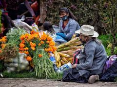 Señora con cubrebocas vende cempoalxóchitl. Fotografía: Liliana Enriqueta Avila Posada.