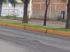 Fotografía que a la distancia se leen anuncios sobre COVID-19. Fotografía: Juan José Carrillo Coronel