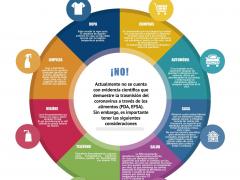 Infografía ¿Se transmite el coronavirus a través de los alimentos?. Imagen: Facebook La Luz del Mundo.