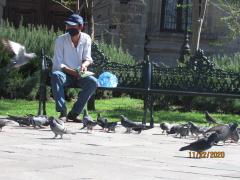 Hombre con cubrebocas alimentando a las palomas (1). Fotografía Juan José Carrillo Coronel