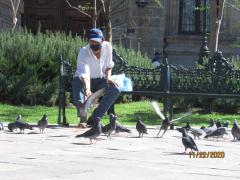 Hombre con cubrebocas alimentando a las palomas (2). Fotografía Juan José Carrillo Coronel