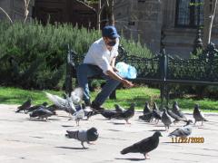 Hombre con cubrebocas alimentando a las palomas (3). Fotografía Juan José Carrillo Coronel
