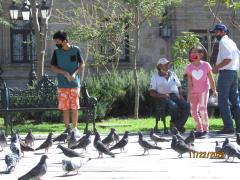 Hombre y niño con cubrebocas alimentando a las palomas. Fotografía Juan José Carrillo Coronel