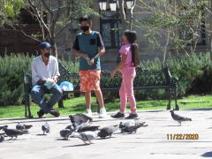 Hombre y un par de niños con cubrebocas alimentando a las palomas. Fotografía Juan José Carrillo Coronel