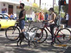 Jóvenes ciclistas con su mascota haciendo uso correcto del cubrebocas. Fotografía: Juan José Carrillo Coronel