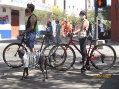 Jóvenes ciclistas con su mascota haciendo uso correcto del cubrebocas. Fotografía: Juan José Carrillo Coronel
