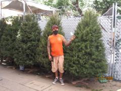 Vendedor de arbolitos navideños con cubrebocas. Fotografía: Juan José Carrillo Coronel.