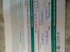 Comprobante de aplicación de vacuna contra el COVID19 a adulta mayor mujer. Fotografía: Juan José Carrillo Coronel.
