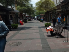 Espacio público en el Centro de Guadalajara, Jalisco. Fotografía: Lía Fernanda Rodríguez Cerrillo.
