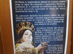 Entrada del Templo de la Merced, del cartel con Oración "Ante la Pandemia". Fotografía: Karla Téllez Jiménez