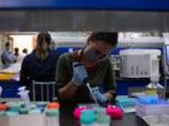 Investigadora en laboratorio lll.