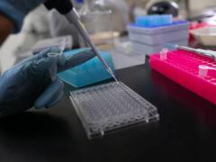 Investigadora en laboratorio V.