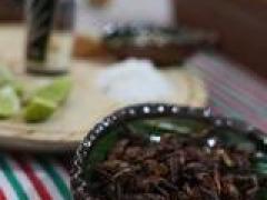 Chapulines. Fotografía: Mariana Luna.