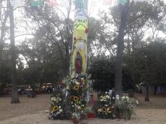 Altar de la Virgen de Guadalupe. Fotografía: Karla Téllez Jiménez