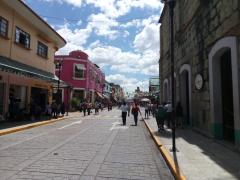 Centro de Oaxaca. Fotografía: Dulce Claudia Cruz Vásquez.