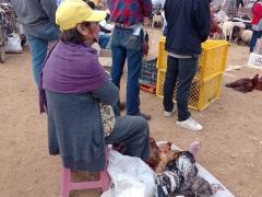 Señora vende guajolotes en el Baratillo en San Miguel Etla, Oaxaca. Fotografía: Perla Carolina Cruz Vásquez.