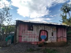 Casa pintada "Evitemos contegios de COVID-19", por Centro de Salud Rural de Monte Frío, San Andrés Nuxiño, Oaxaca. Fotografía: Josué Miguel Cruz.