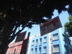 Lona Estás en una zona de riesgo de contagio, calles de la ciudad de Puebla. Fotografía: Edgar Iván Flores Hernández.