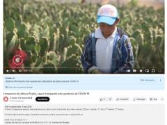 Publicación sobre campesinos en Puebla durante COVID-19.