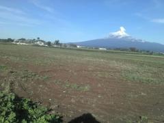 Campos de cultivo en Atlixco, Puebla. Fotografía: Angelina Bueno.