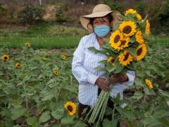 Emilia Mungía se dedica desde varias generaciones a la floricultura, nunca antes había padecido una situación económica como la actual. Fotografía: Andrés Lobato.