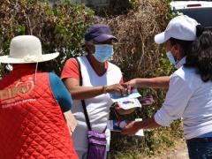 Realización de las brigadas médicas, casa por casa, en una colonia. Fotografía: Diario Código.