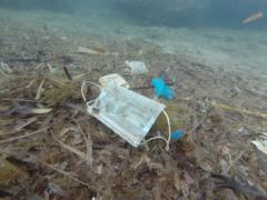 Cubrebocas encontrado en la playa. Fotografía: Reuters.