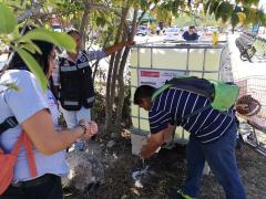 Depósito de agua y jabón en Paradero de Combis Colectivas, Plaza las Américas. Fotografía: Ayuntamiento de Solidaridad.