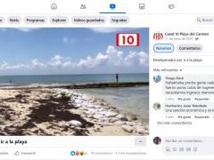 Acuden a la playa a pesar de restricción por pandemia. Canal 10 Playa del Carmen.