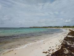 Playa de Xcacel-Xcacelito en pandemia. Fotografía: Red de Monitoreo del Sargazo Cancún.