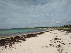Playa de Xcacel-Xcacelito en pandemia. Fotografía: Red de Monitoreo del Sargazo Cancún.