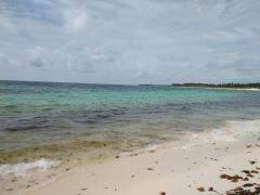 Playa de Xcacel-Xcacelito en pandemia. Fotografía: Red de Monitoreo del Sargazo Cancún.