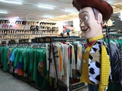 Tienda de disfraces El Camerino en SLP.