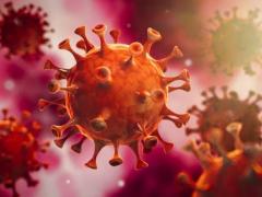 Imagen del coronavirus.