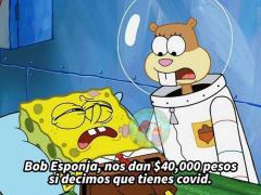Meme: Bob Esponja, nos dan 40,000 pesos si decimos que tienes COVID. Facebook: Mario César Sanchez.
