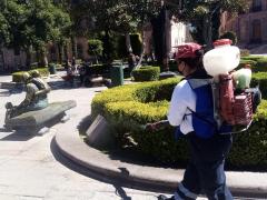 Mujer sanitiza jardín público en San Luis Potosí. Fotografía: Tweete Gobierno Municipal S.L.P.