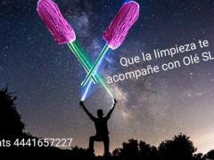 Flyer Que la limpieza te acompañe con Olé SLP. Facebook Olé SLP.