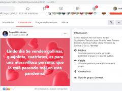 Anuncio: Oferta aves de corral por las dificultades económicas de la pandemia. Facebook Raquel Hernández.
