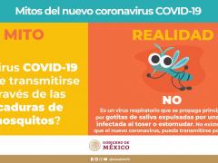 Infografía Mitos del nuevo coronavirus COVID-19, de la Secretaría de Salud.