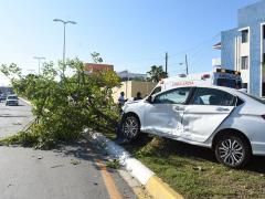 Automóvil impacta contra árbol. Fotografía: La Jornada Maya.