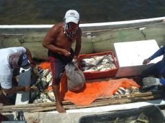 Descargando pesca, Yucatán. Fotografía: Facebook H Ayuntamiento de Dzilam de Bravo.