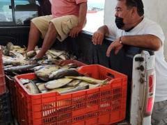 Camioneta con carga de pescado. Fotografía: Facebook H Ayuntamiento de Dzilam de Bravo.