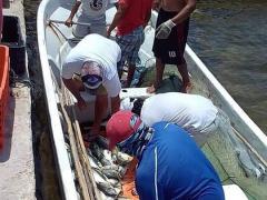 Pescadores descargando. Fotografía: Facebook H Ayuntamiento de Dzilam de Bravo.