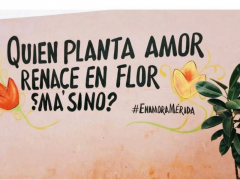 Mural "Quien planta amor renace en flor ¿ma´sino?", elaborado por Enamora Mérida y miembros de la comunidad.