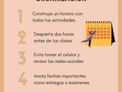 Manual de supervivencia, organización. Sociedad de Alumnos de la Facultad de Antropología, UADY.