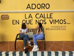 Barda 6: Adoro la calle en que nos vimos... A. Manzanero, del proyecto Enamora Mérida.
