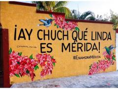 Barda 24: ¡Ay chuch qué linda es Mérida¡. Fotografía: Enamora Mérida.